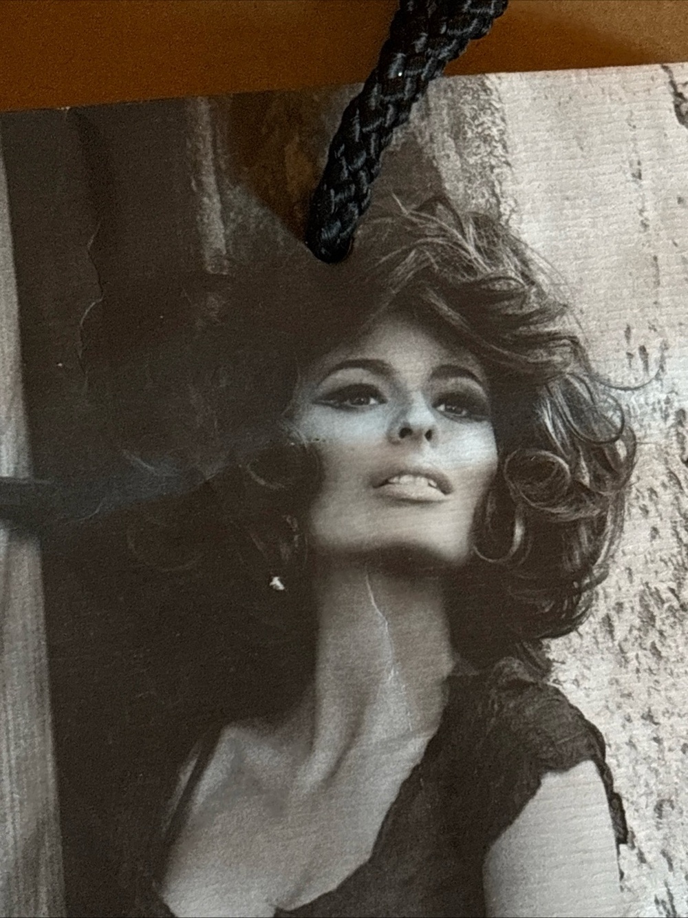 Sofia Loren lookalike model GUESS Black & White Photo Tote with Red Logo used - Picture 5 of 9